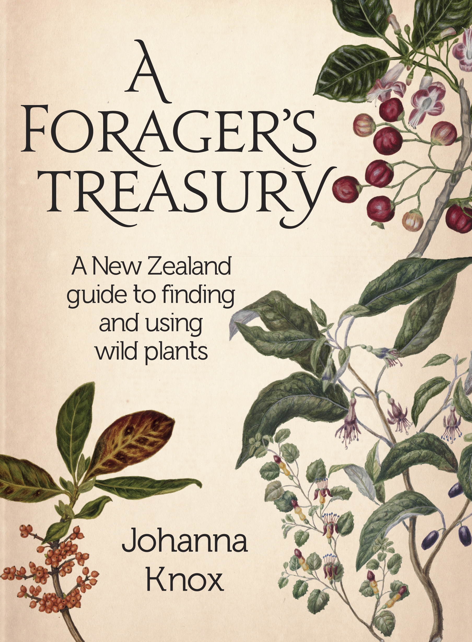 A forager’s treasury