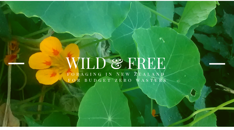 Wild & Free: Foraging in New Zealand for Budget Zero Wasters