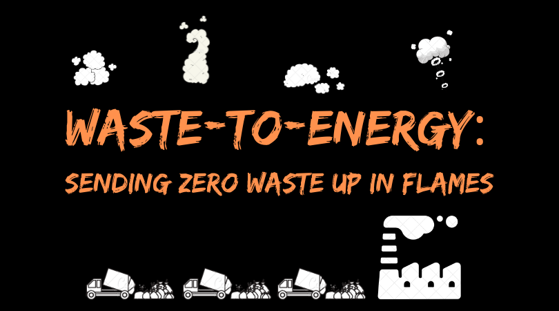 Waste-to-Energy_ Sending Zero Waste up in Flames