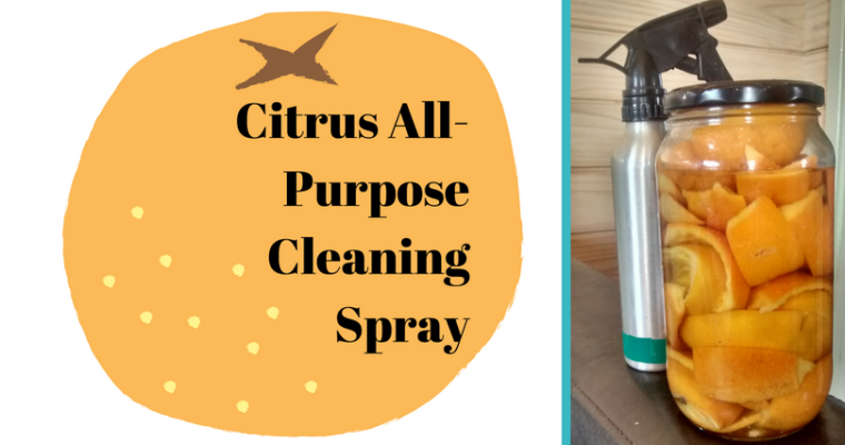Citrus All-Purpose Cleaning Spray